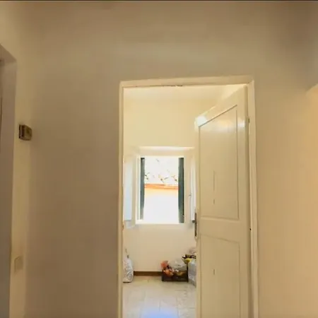 Vividora * Rome